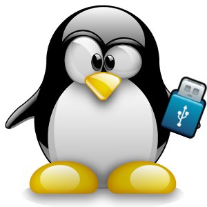live-Linux-USB_rtjfpv